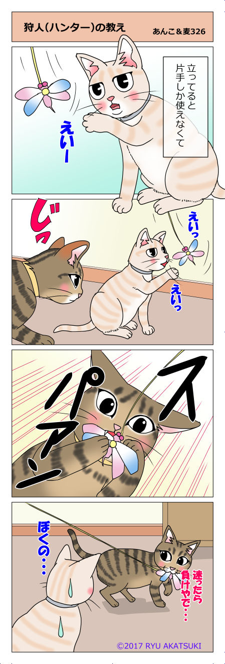 あんこ&麦STORY326