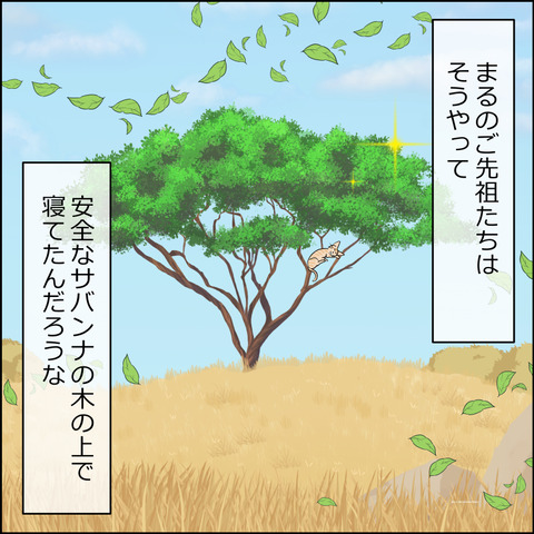 あんこ＆麦STORY2327d