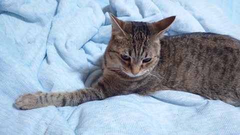 20240731_214109_Original