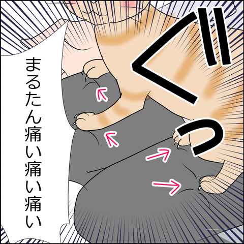 あんこ&麦STORY2441d