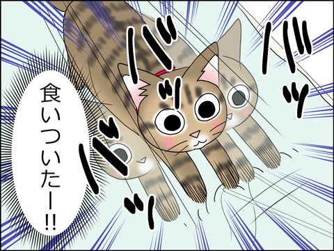 あんこ&麦STORY1445b