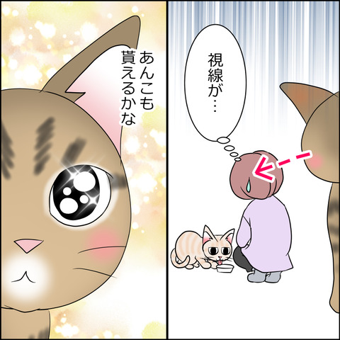 あんこ＆麦STORY2031b