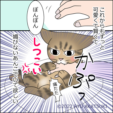 あんこ＆麦STORY1752d