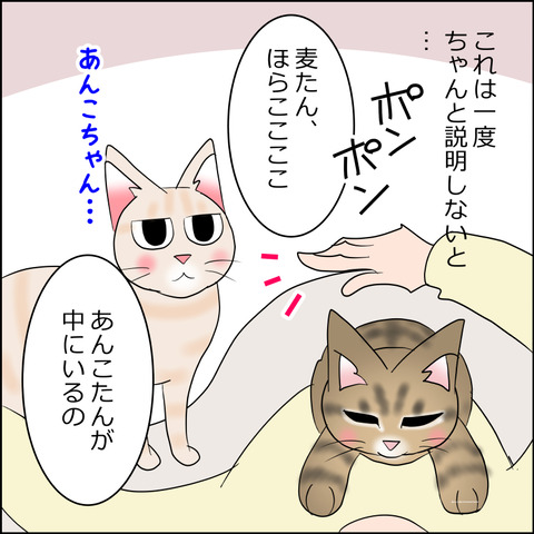 あんこ＆麦STORY2260b