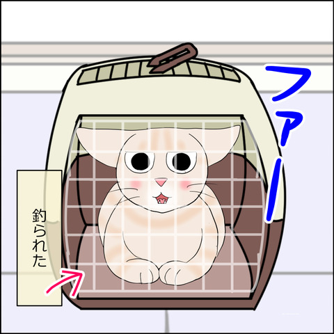 あんこ＆麦STORY2319c