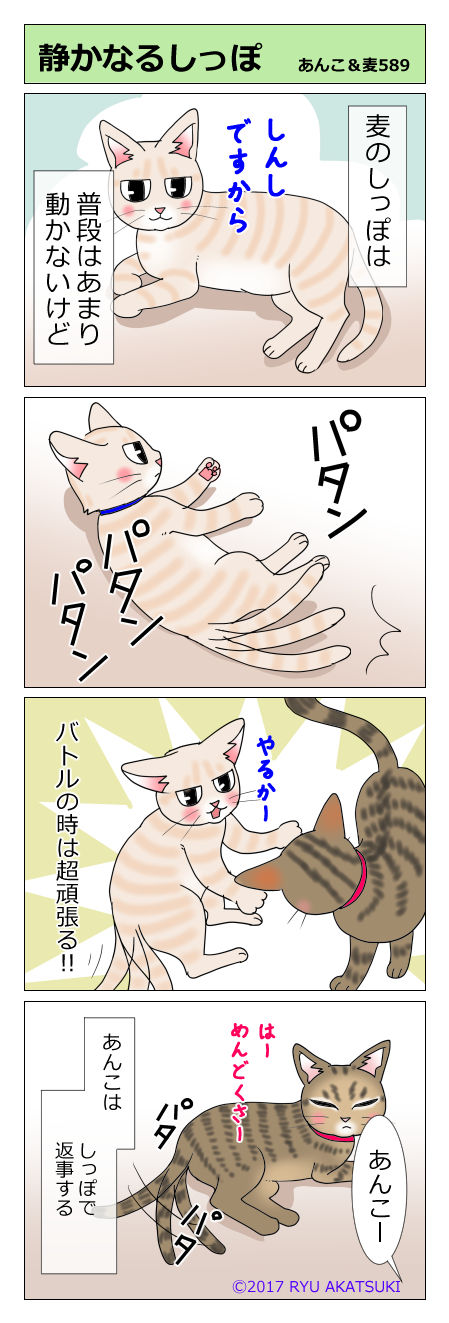 あんこ&麦STORY589