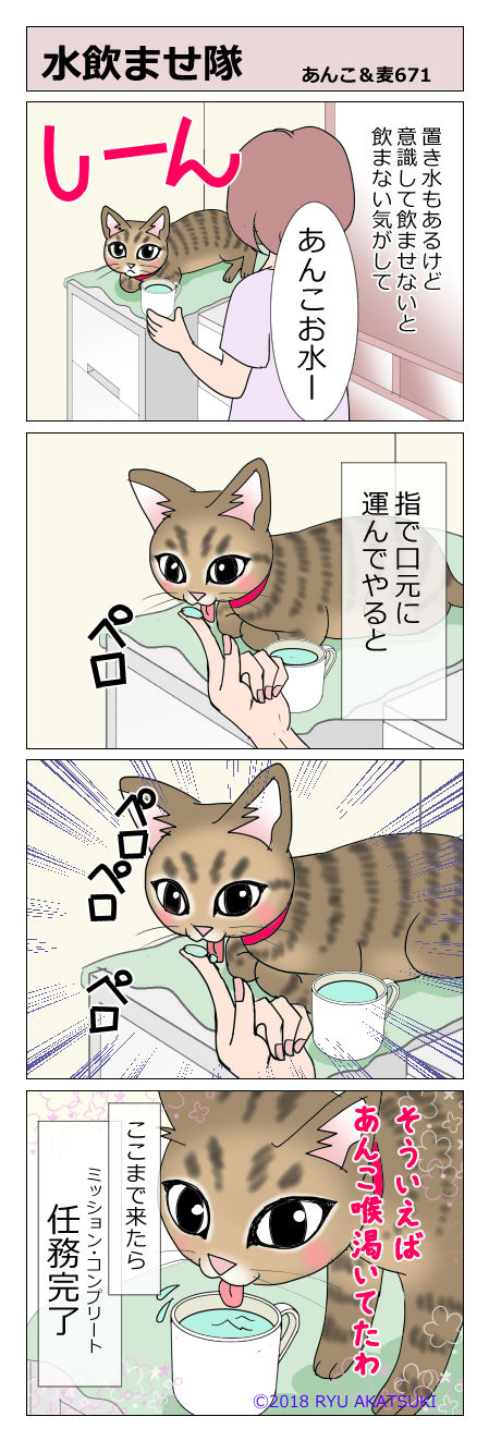 あんこ&麦STORY671