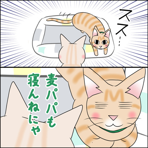 あんこ＆麦STORY1863c