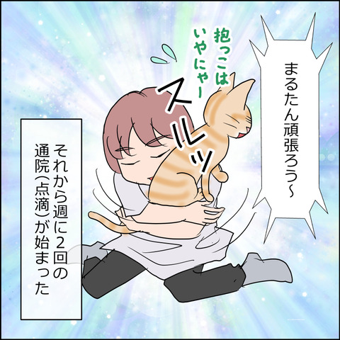 あんこ＆麦kenko155d