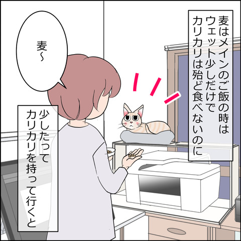 あんこ＆麦STORY2225a