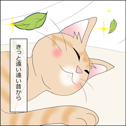 あんこ＆麦STORY2327c