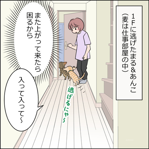 あんこ＆麦STORY2113a