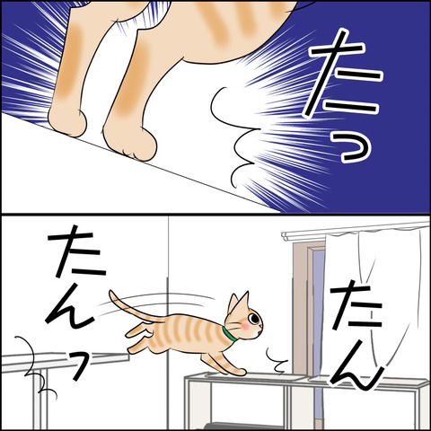 あんこ＆麦STORY1986c