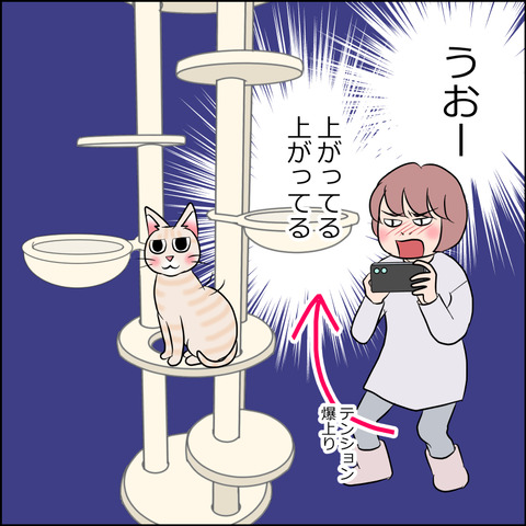 あんこ&麦STORY1794b