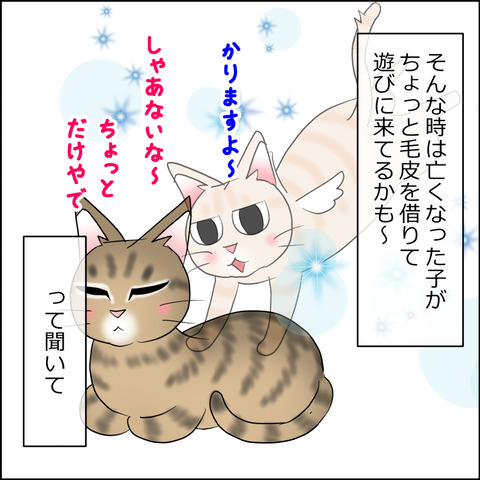 あんこ＆麦STORY2467b