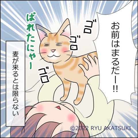 あんこ＆麦STORY1771d