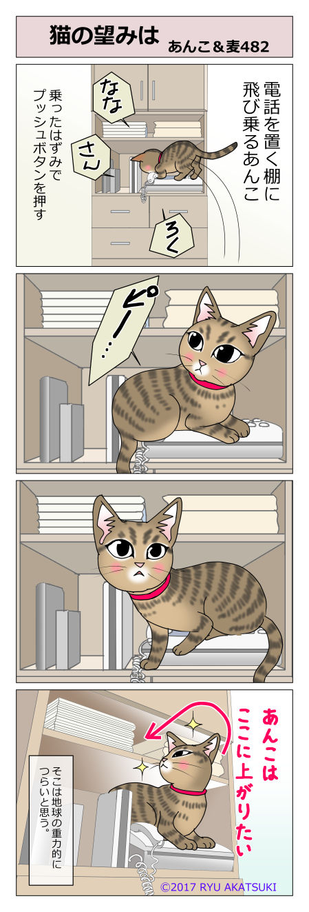 あんこ&麦STORY482