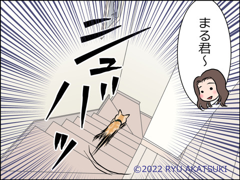 あんこ&麦STORY1521d
