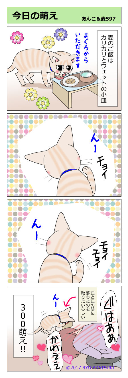 あんこ＆麦STORY597