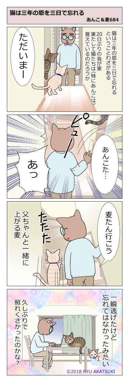 あんこ&麦STORY684