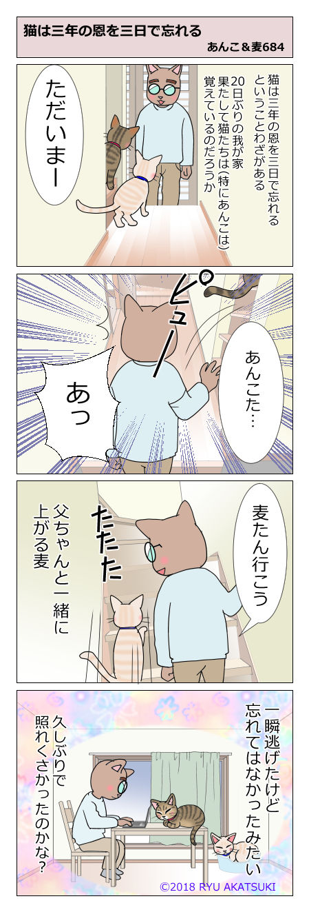 あんこ＆麦STORY684