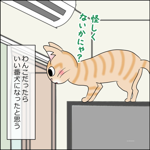 あんこ&麦STORY2485d