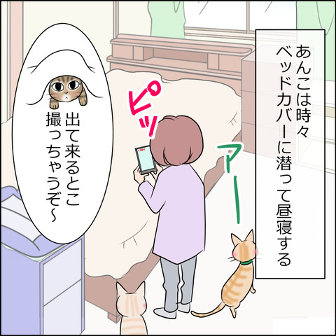 あんこ＆麦STORY1874a