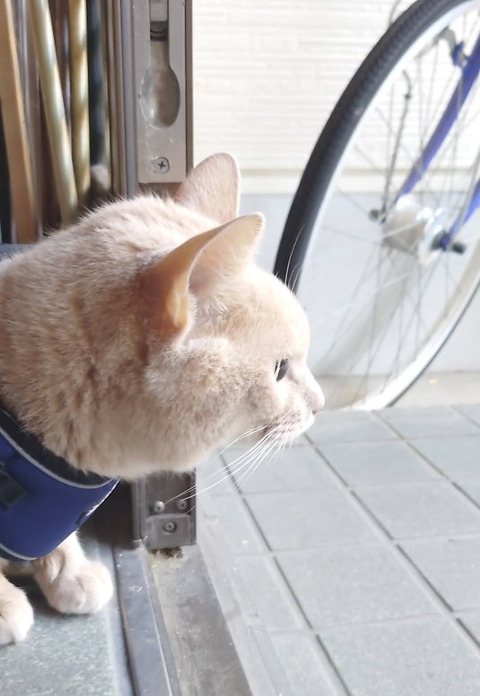 Screenshot_20251112-182927