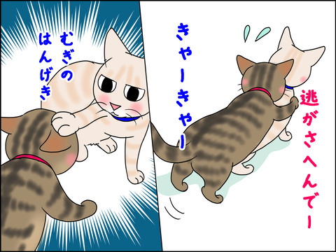 あんこ＆麦STORY1442c