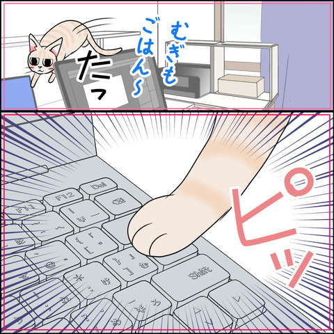 あんこ＆麦STORY2013c