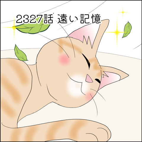 あんこ＆麦STORY2327@