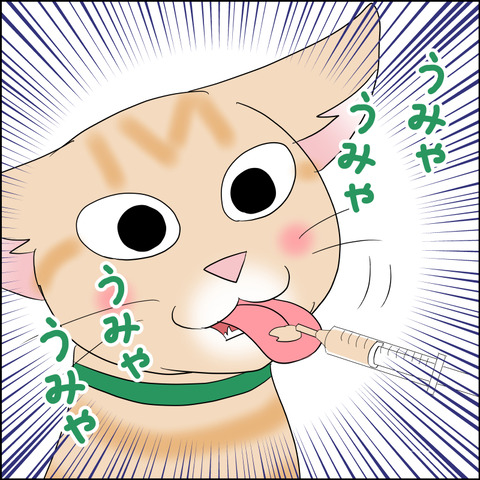 あんこ＆麦STORY2223c