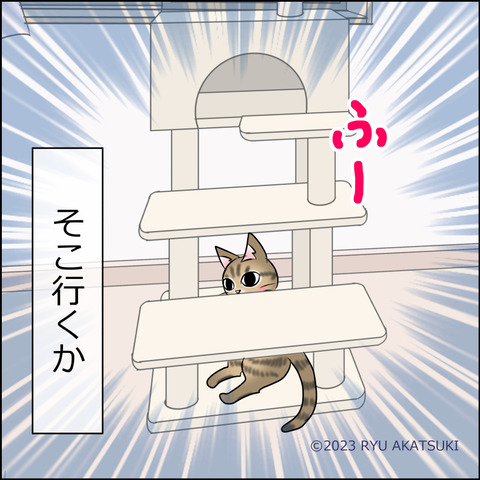 あんこ&麦STORY1931d