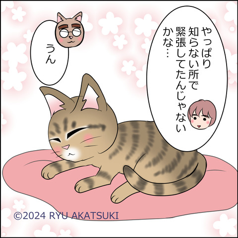 nekokita023d