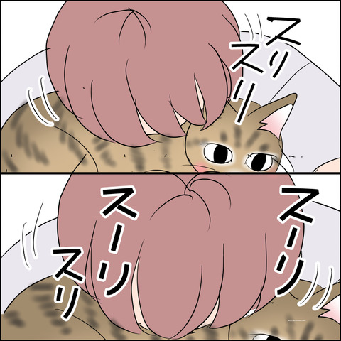 あんこ＆麦STORY2460b