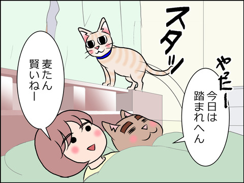 あんこ＆麦STORY1571b