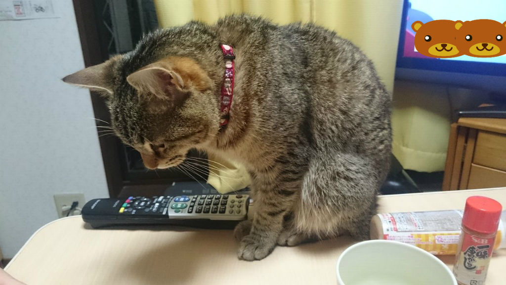 BlogPaint