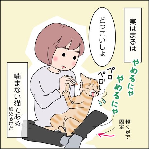 あんこ＆麦STORY2451b