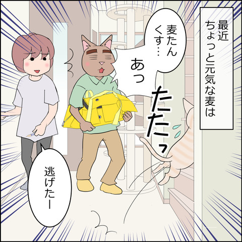 あんこ＆麦STORY2326a