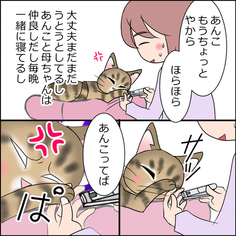 あんこ＆麦STORY2047c