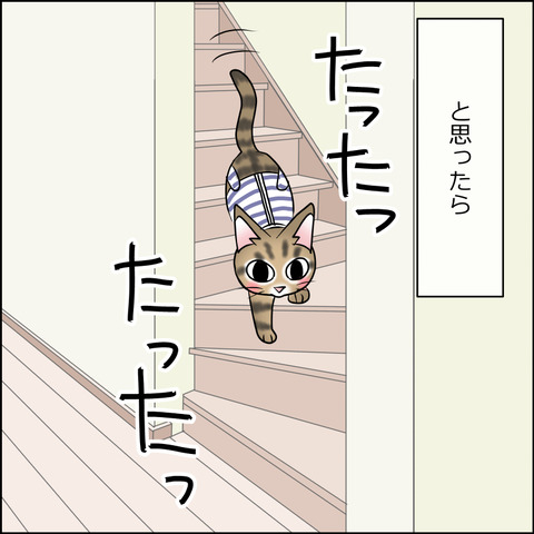 あんこ&麦kenko49b