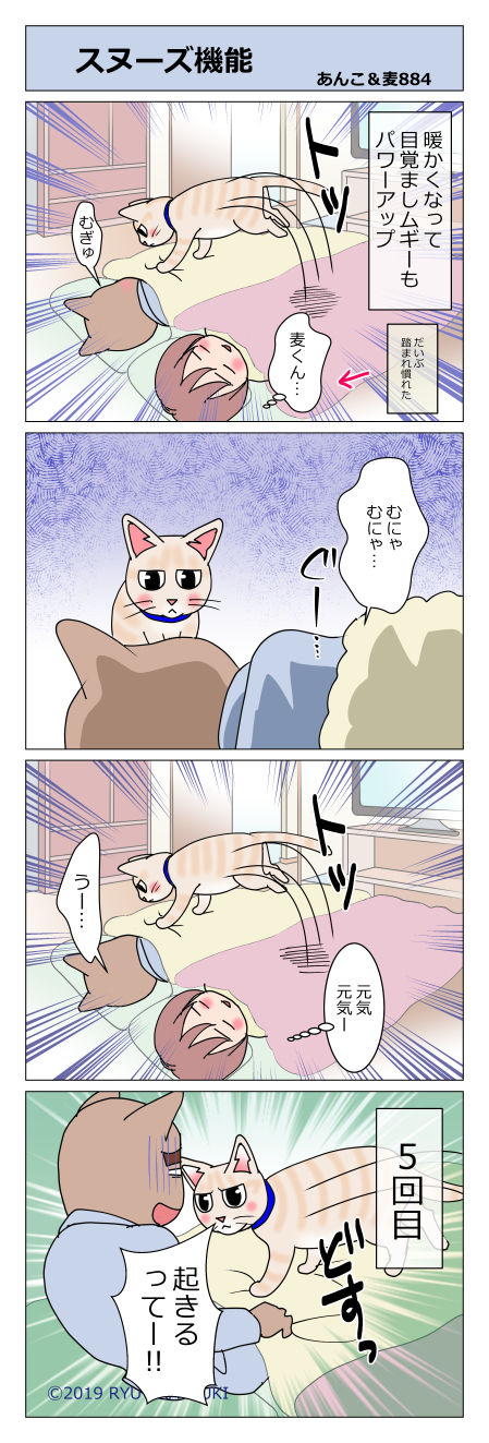 あんこ＆麦STORY884