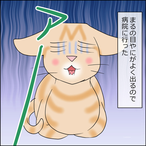 あんこ＆麦STORY2435a