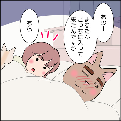 あんこ＆麦STORY1746b