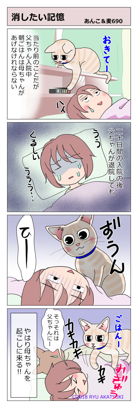 あんこ&麦STORY690