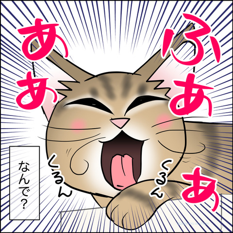 あんこ＆麦STORY2129d