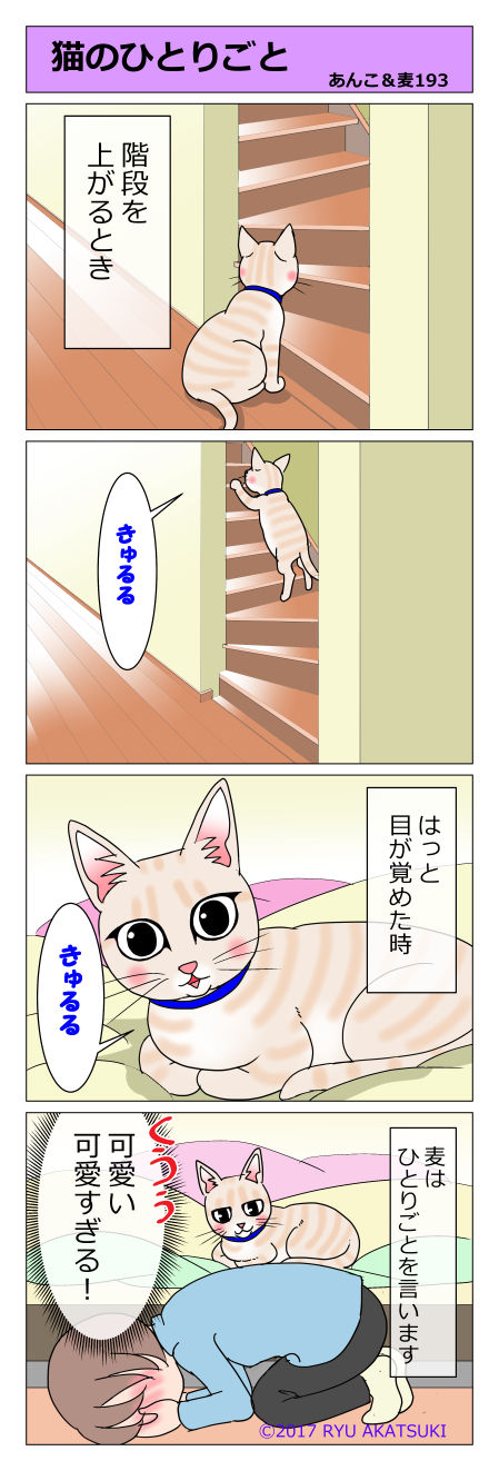 あんこ&麦STORY193