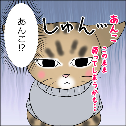 あんこ＆麦kenko45c