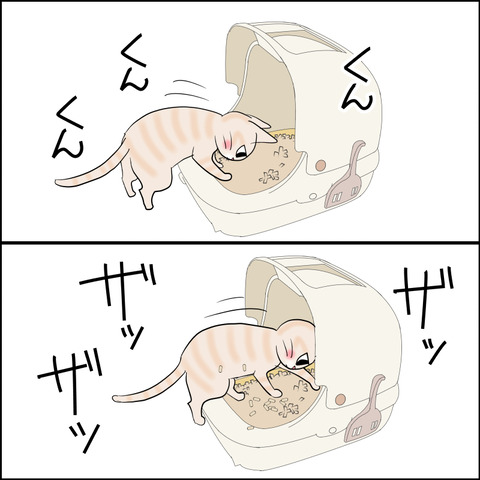 あんこ＆麦STORY2202b