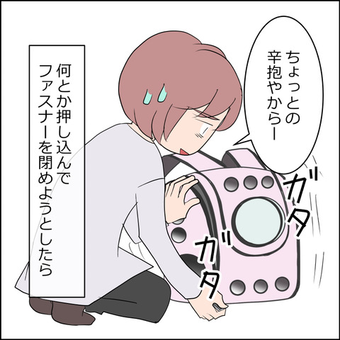 hinan004c